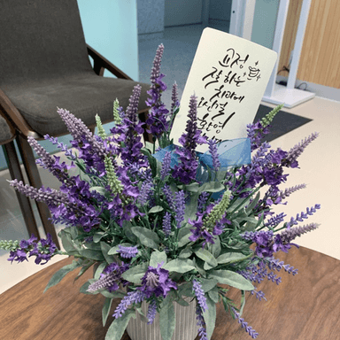 연세라벤더치과교정과치과의원_image