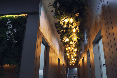 닥터디자이너의원 영등포점 7번째 이미지