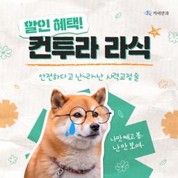 라식_이미지