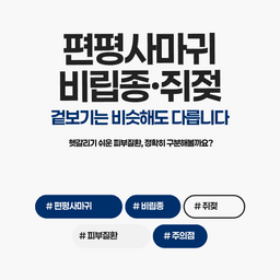 헷갈리기 쉬운 피부 질환, 왜 구분이 필요할까요?의 썸네일