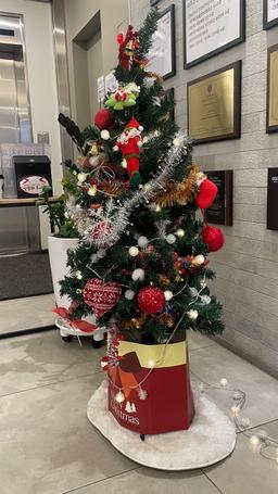 라이크치과의원