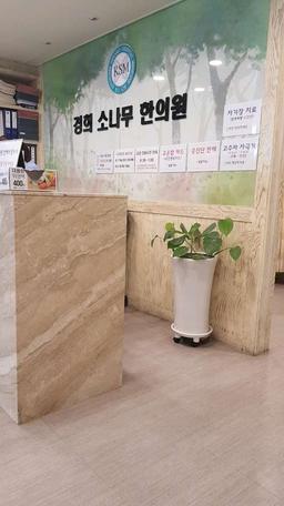 경희소나무한의원