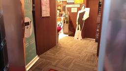 파라다이스의원