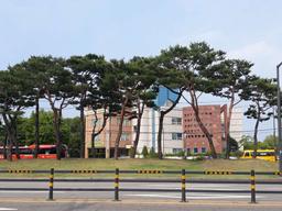 동대문메이퓨어의원